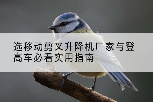 香洲电动升降机厂家-选移动剪叉升降机厂家与登高车必看实用指南