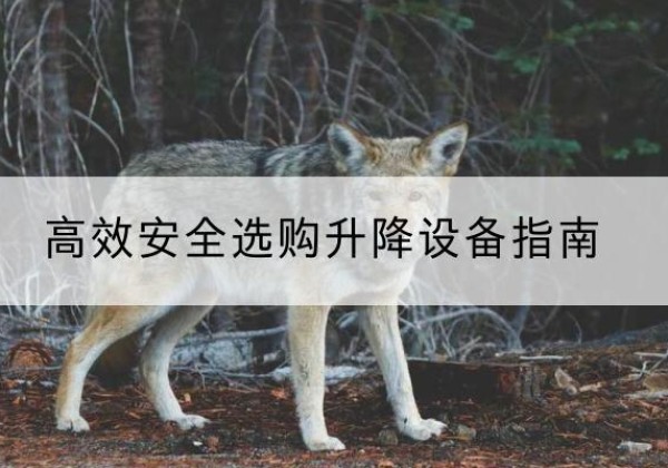 香洲升降货梯厂家推荐-*安全选购升降设备指南